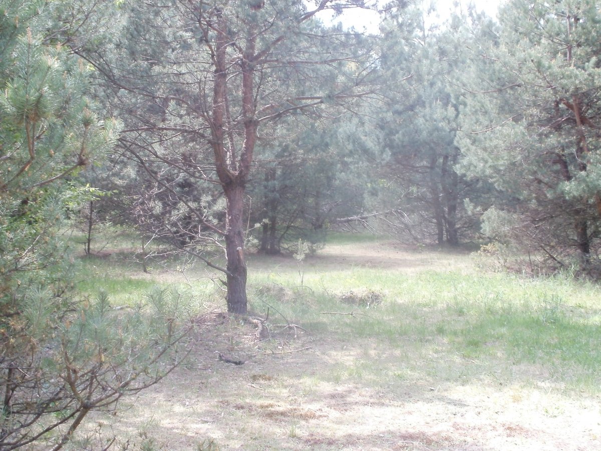 P5211074.JPG