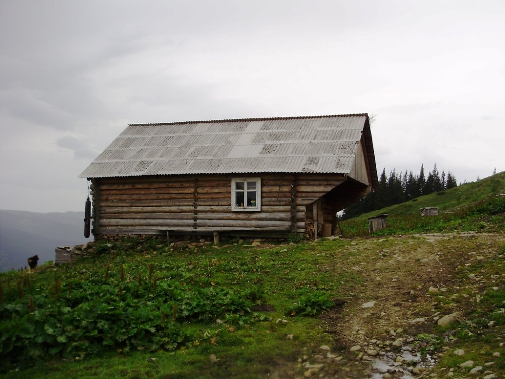 P5230074.JPG