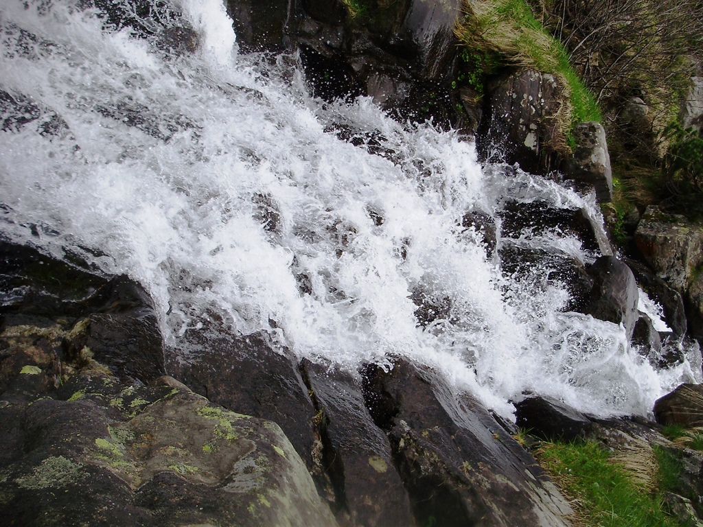 P5240104.JPG
