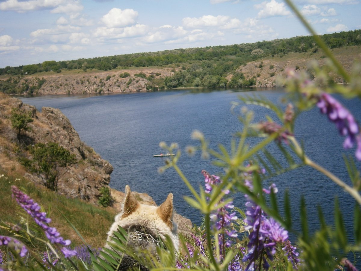 P5272294.JPG