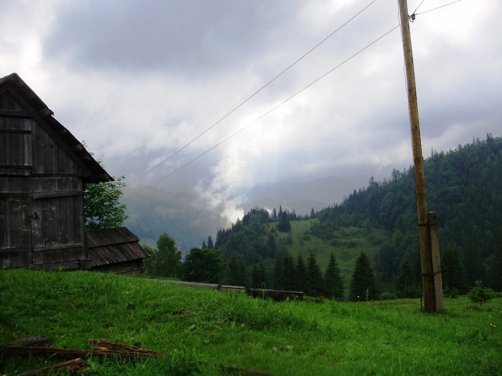 P5310040.JPG