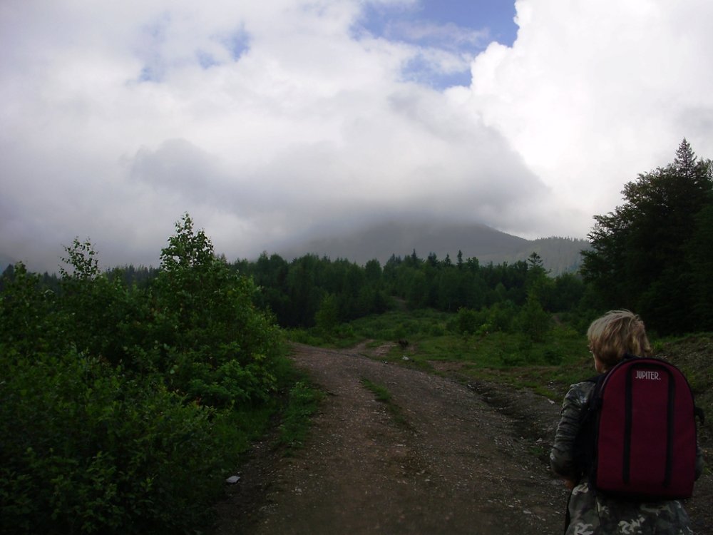 P5310046.JPG