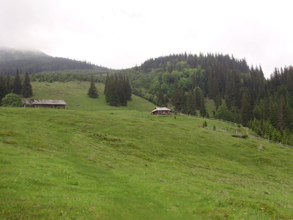 P6010064.JPG