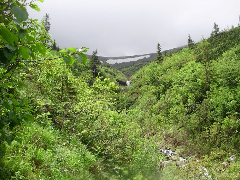 P6010104.JPG