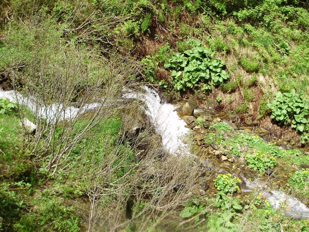 P6010105.JPG