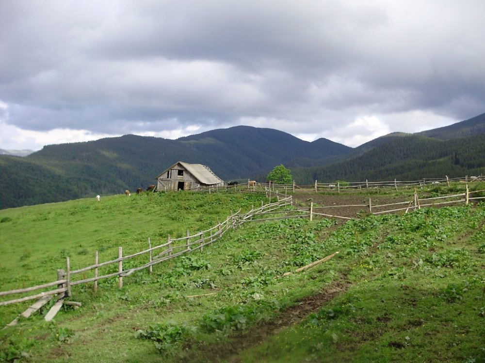 P6010142.JPG