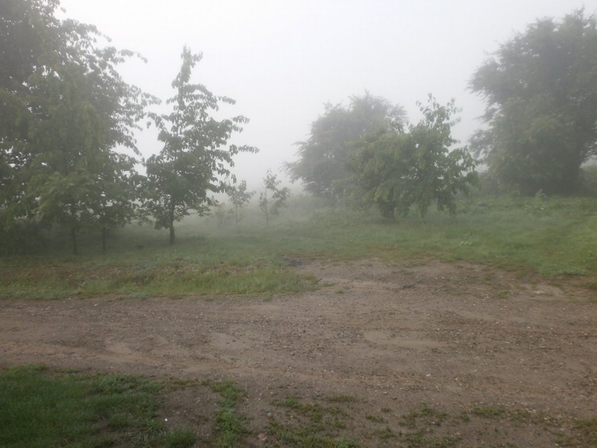 P6020001.JPG