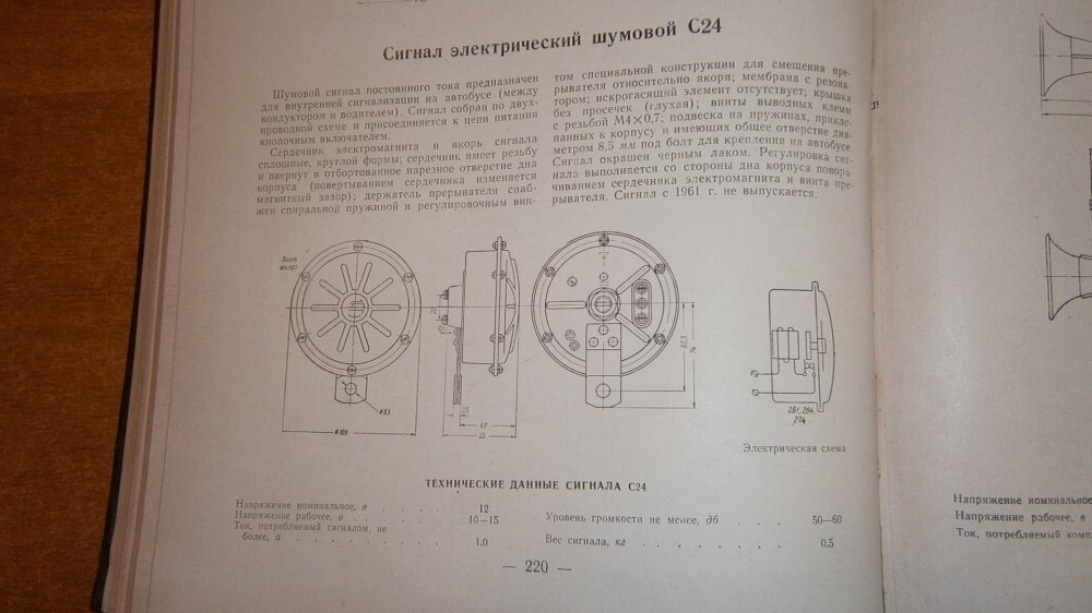 P6110500.JPG