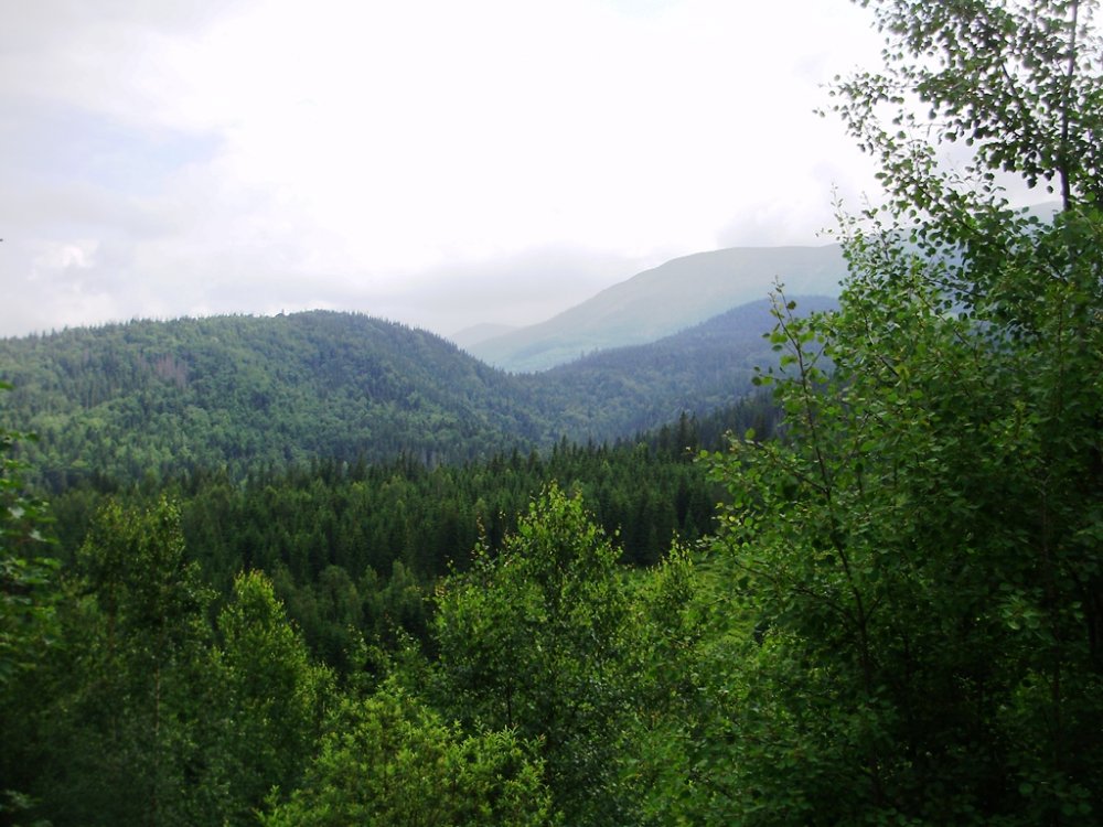P6270007.JPG