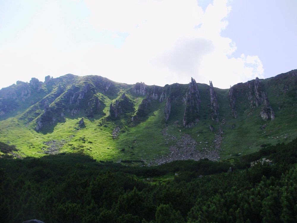 P6280139.JPG