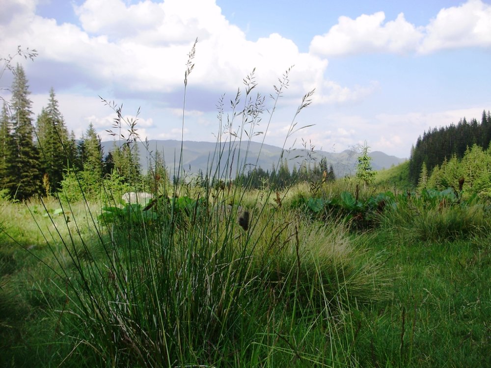 P6280155.JPG