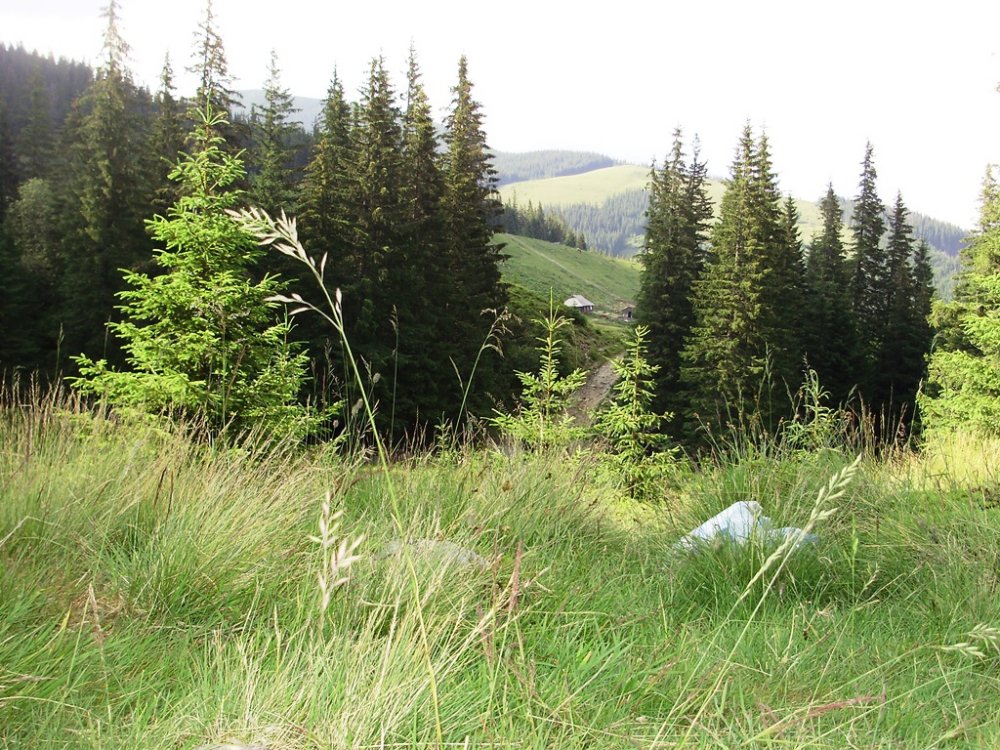 P6280156.JPG