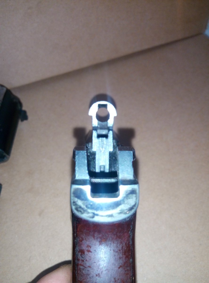 P70115-211533[1].jpg