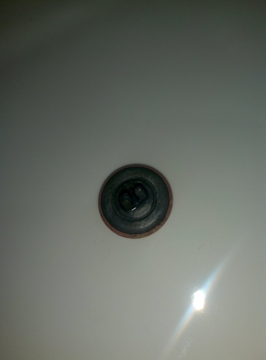 P80124-075003.jpg