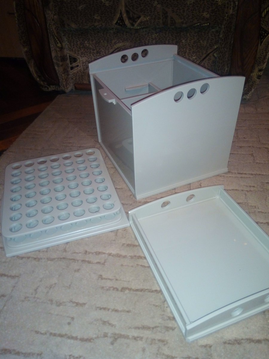P80604-213420.jpg