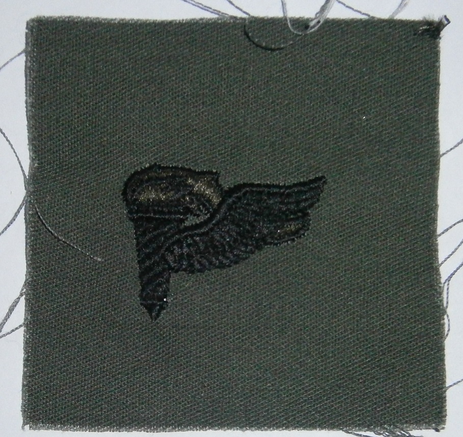 P8117655.JPG