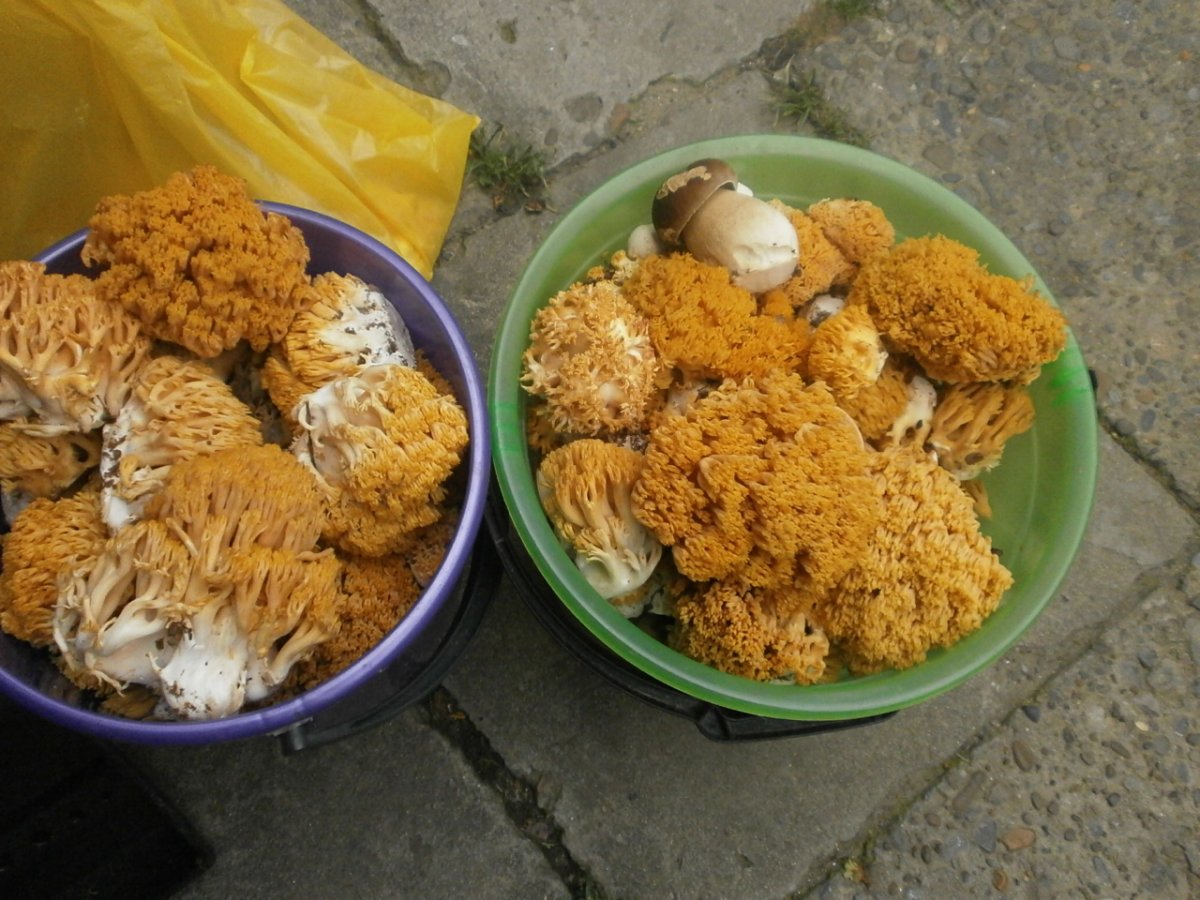 P9020001.JPG