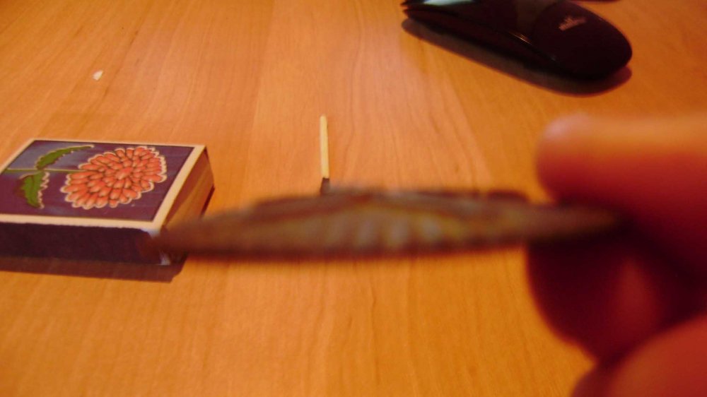 P90402543.jpg
