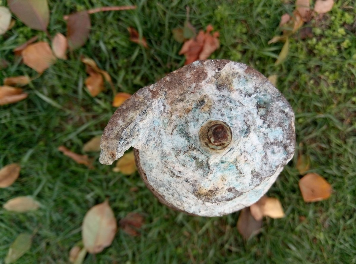 P91104-152157.jpg
