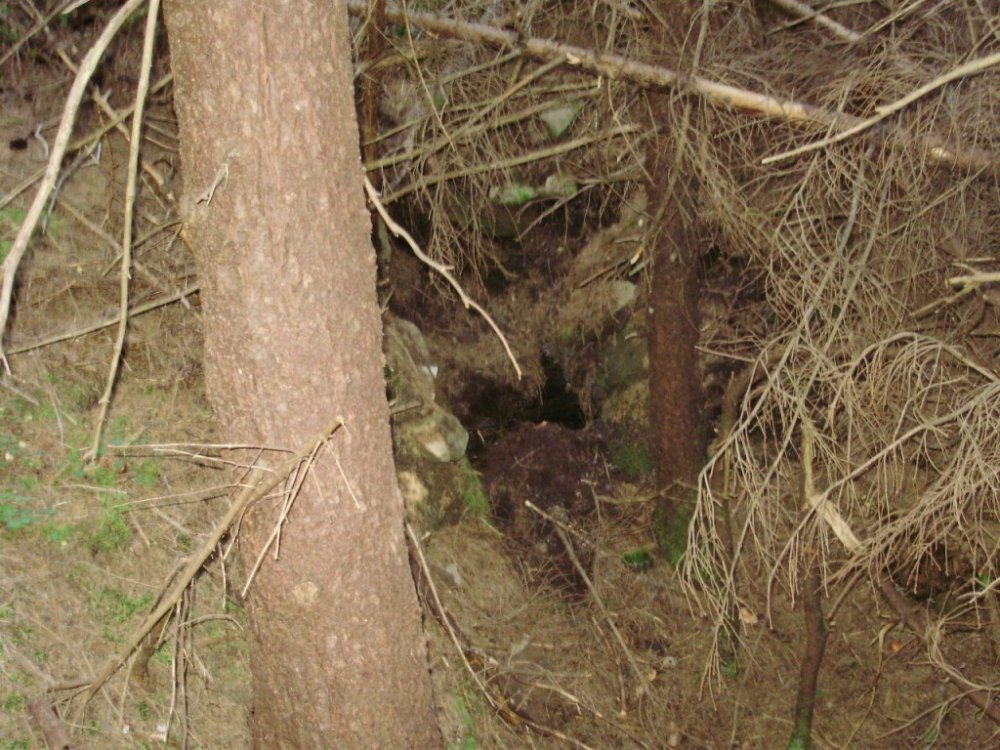 P9220372.JPG