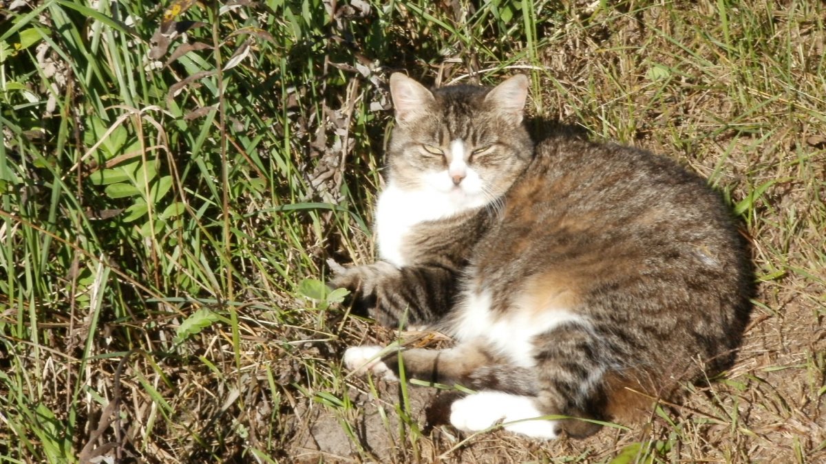 P9260001.JPG