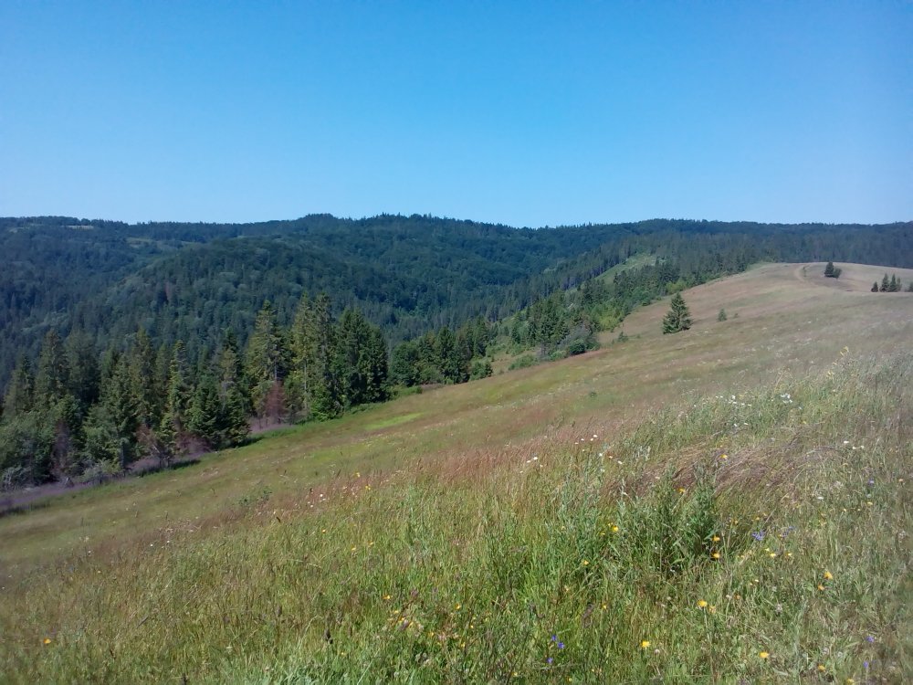 P_20140705_115702.jpg