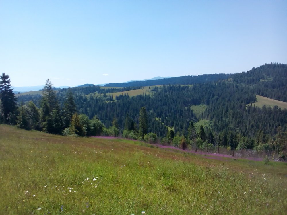 P_20140705_115706.jpg