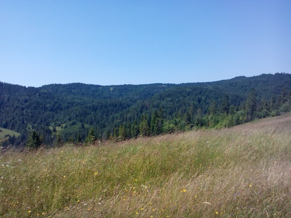 P_20140705_121728.jpg