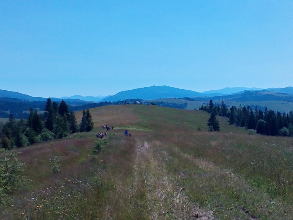 P_20140705_122430.jpg