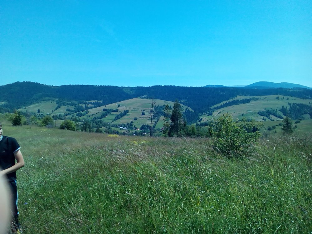 P_20140705_123130.jpg