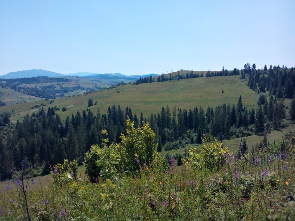 P_20140705_123629.jpg