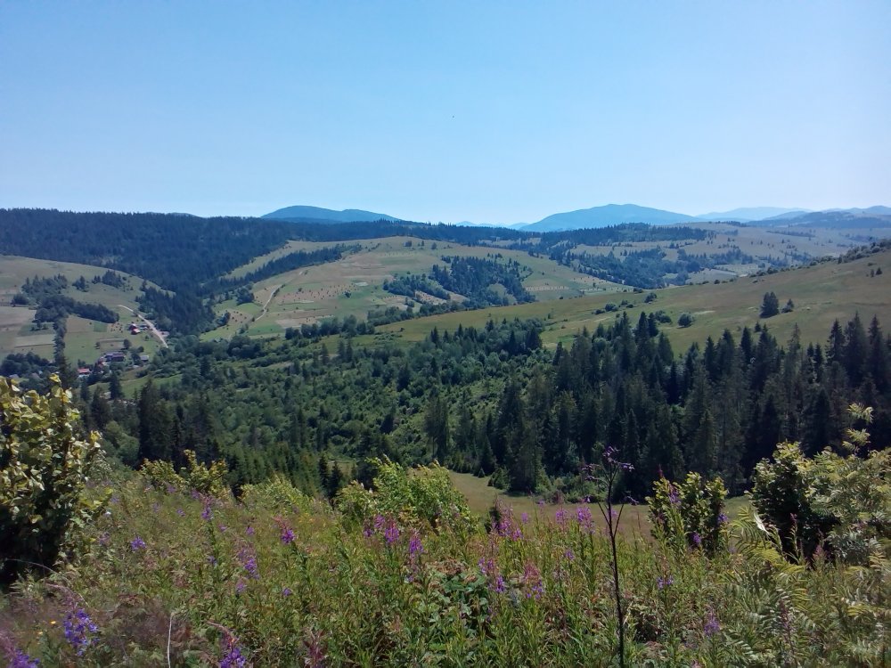 P_20140705_123633.jpg
