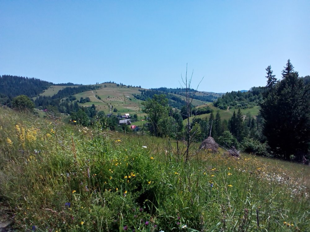 P_20140705_142056.jpg