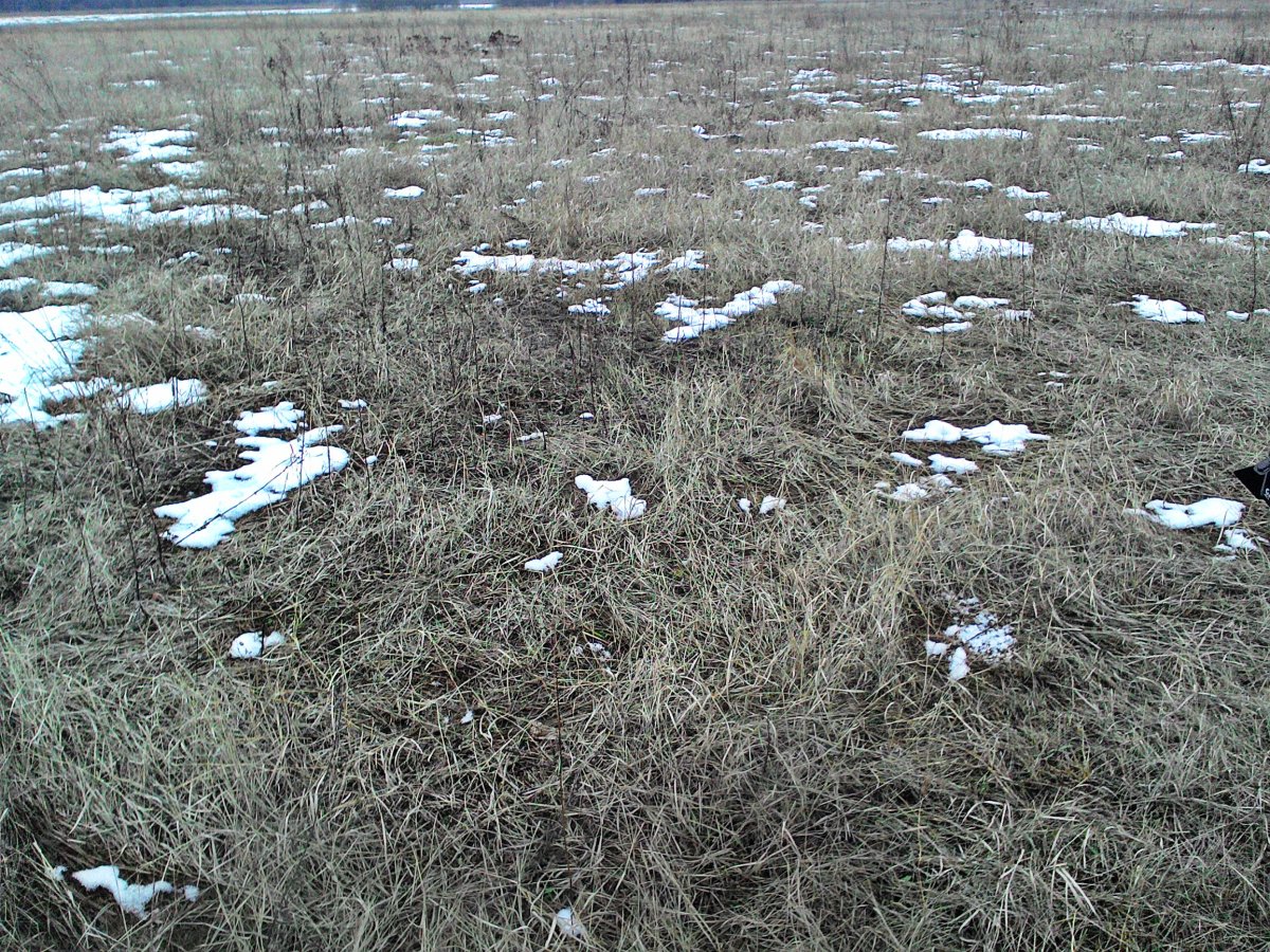 P_20160210_111959.jpg