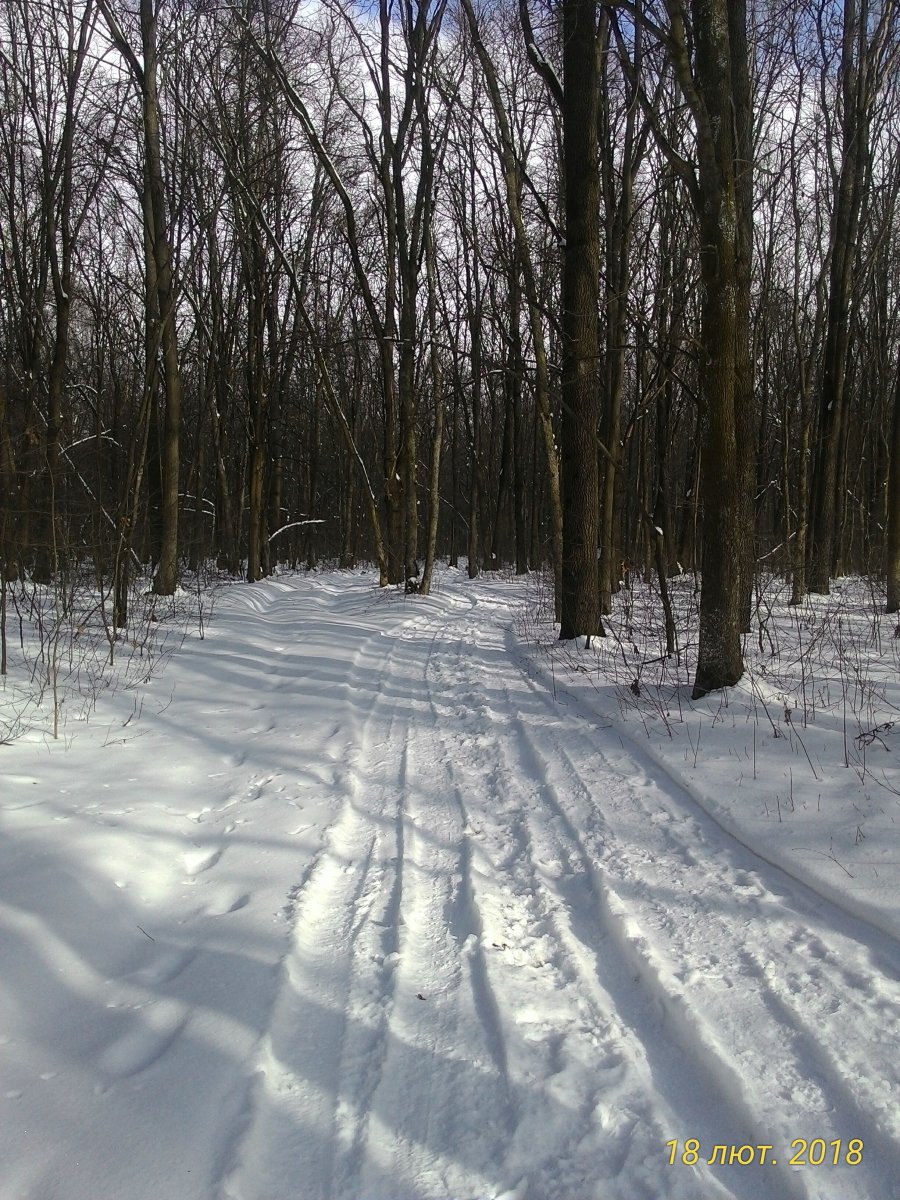 P_20180218_104027_p[1].jpg