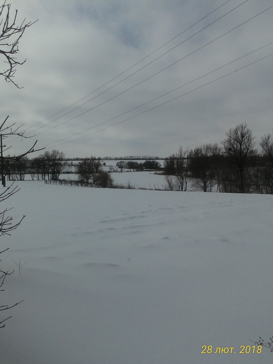P_20180228_111646_1_p.jpg