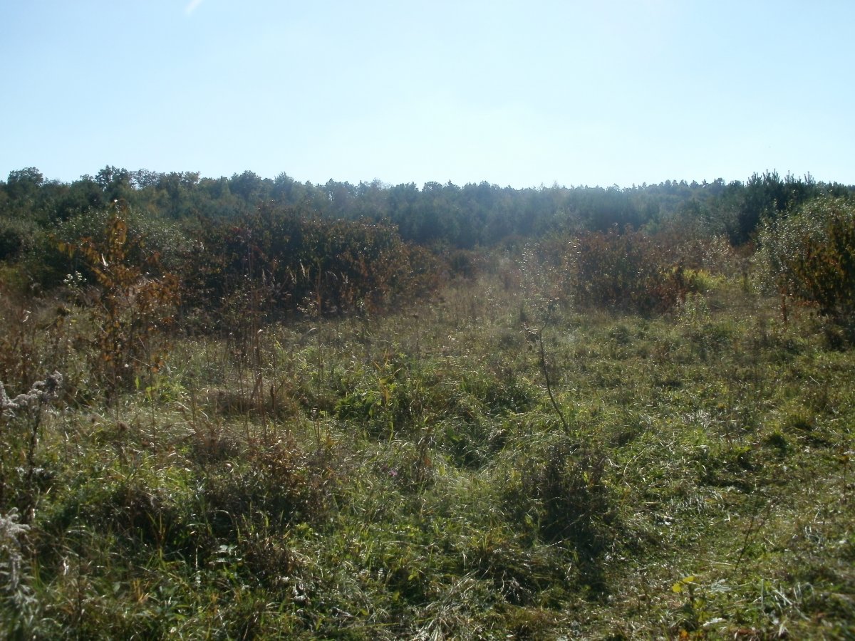 PA050696.JPG