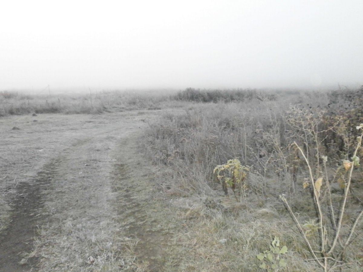 PA080001.JPG