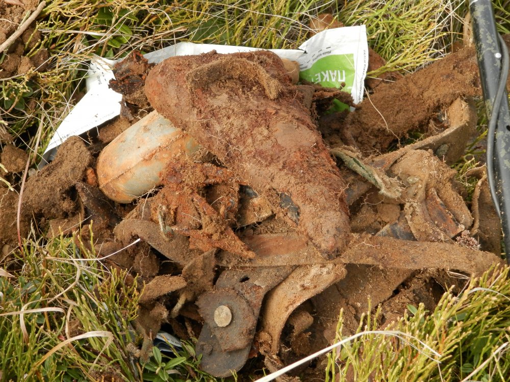 PA155236.JPG