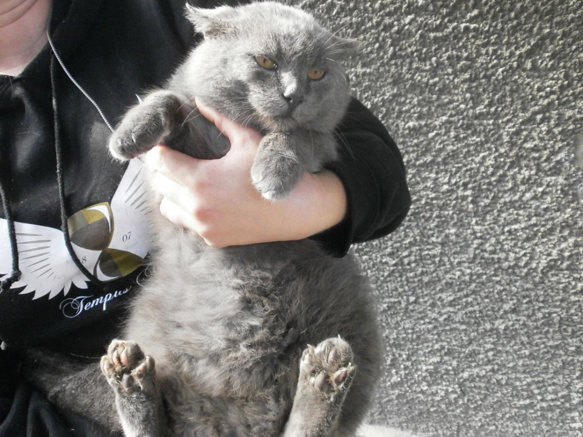 PA310029.JPG