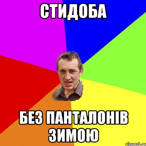 paca_38163211_orig_.jpeg