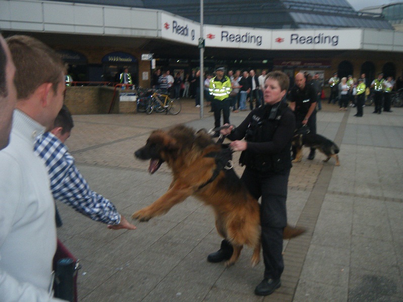 palacepolicedogreadings.jpg