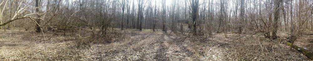PANO_20150326_132544.jpg