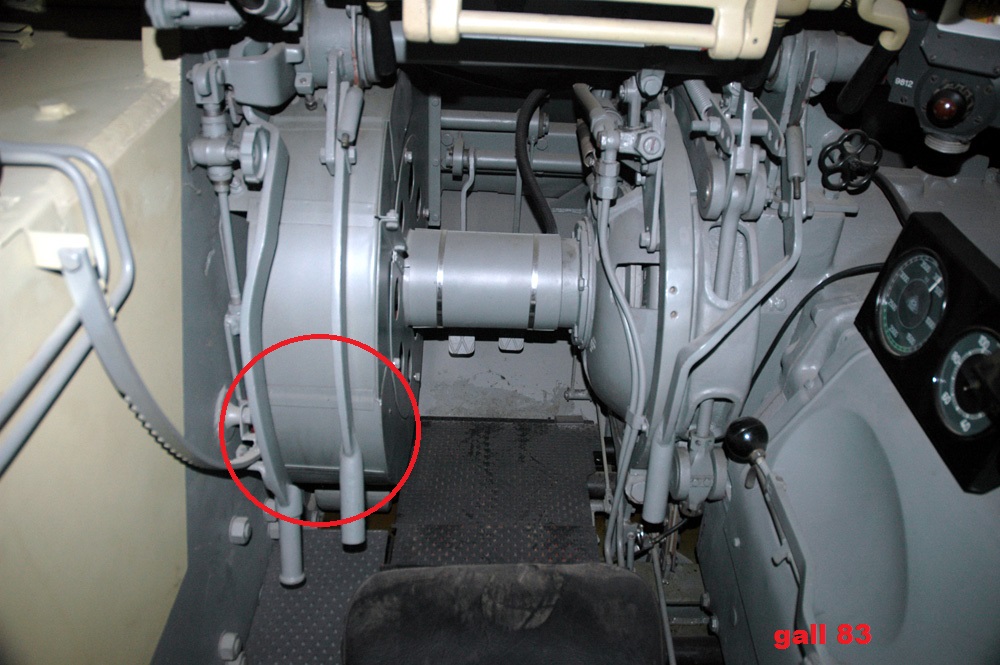 panther_187.jpg