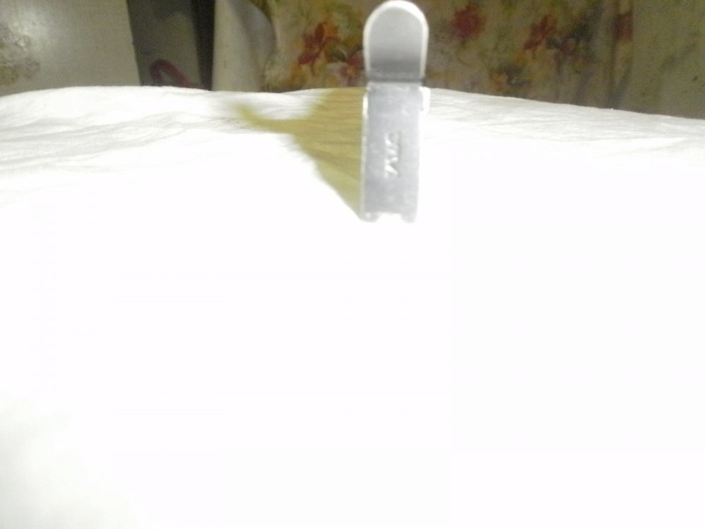 PB050005.JPG