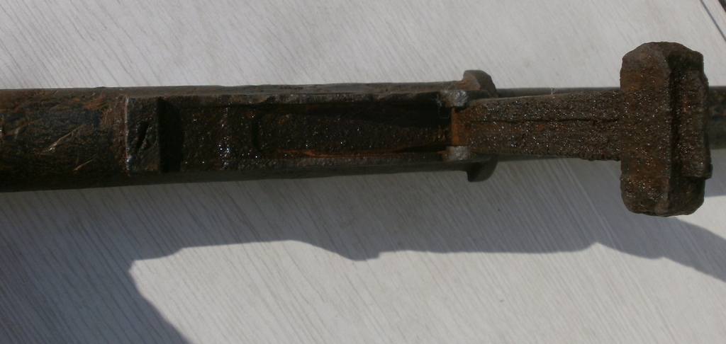 PB127962.JPG