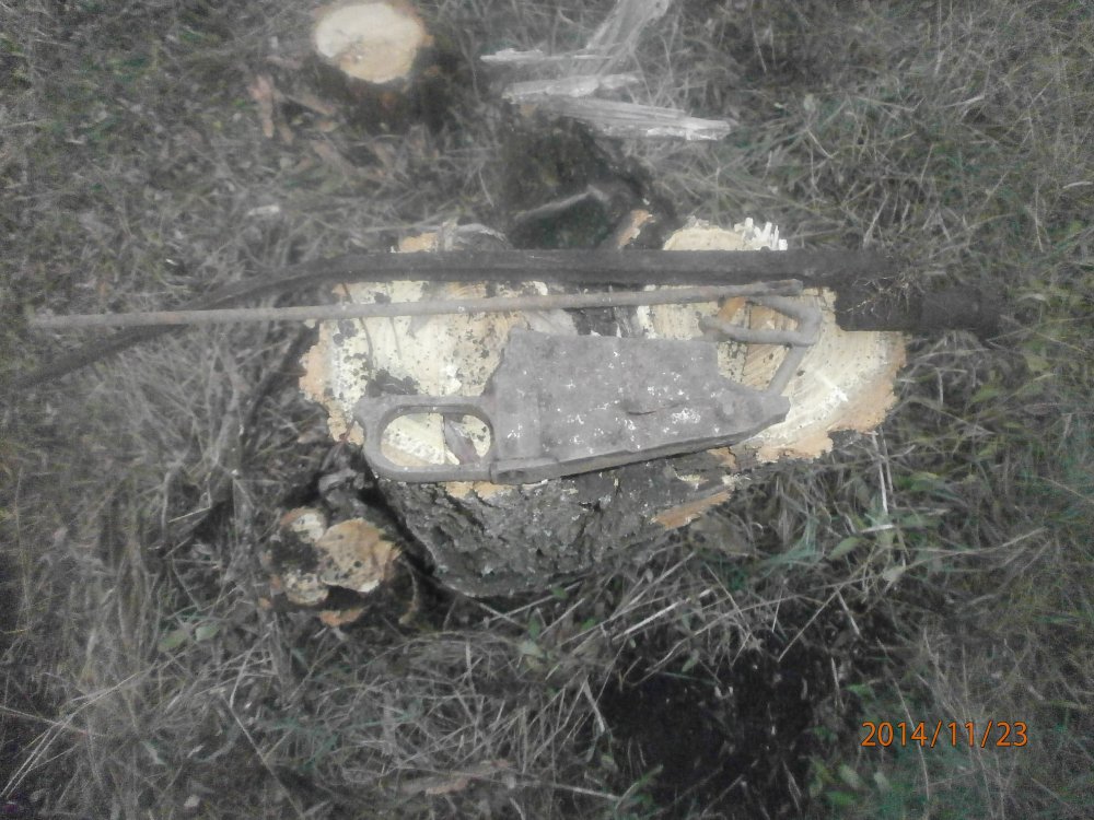PB230179.JPG