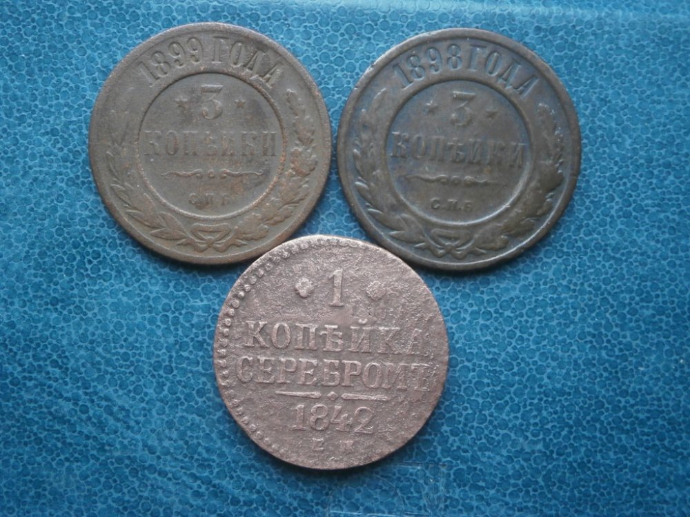 PB301126.JPG