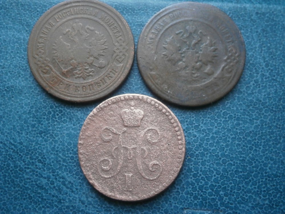PB301129.JPG
