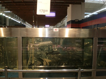 PC190354.JPG